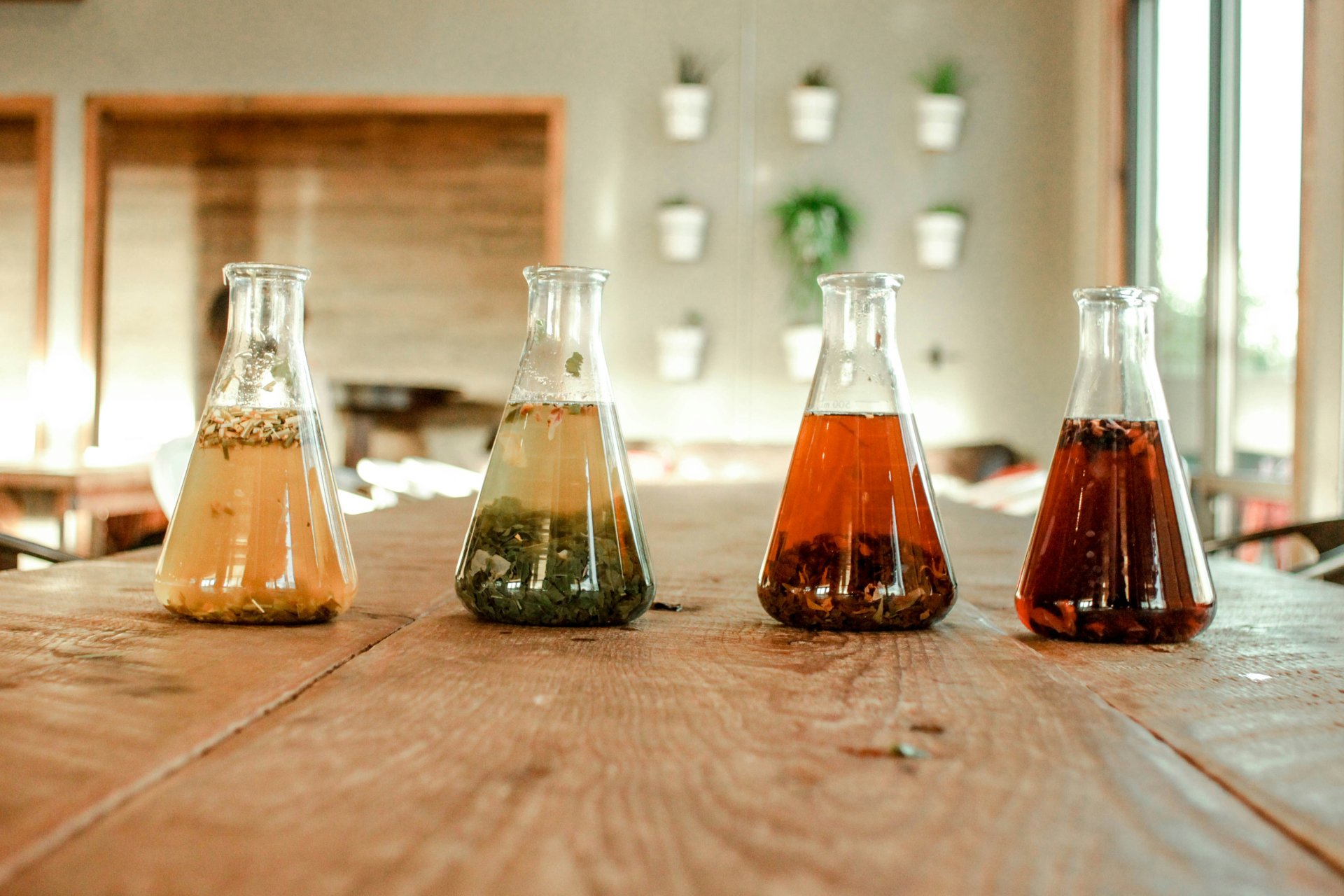 Various tea infusions in glass flasks